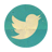 twitter-icon